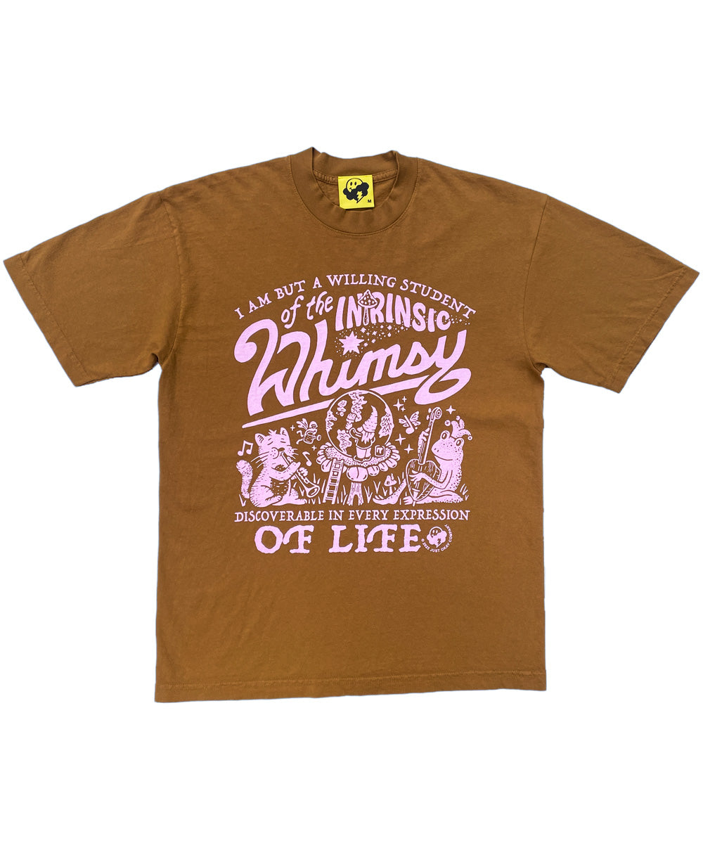 Whimsy Shirt Intrinsic Whimsy T-shirt – Just Okay Co